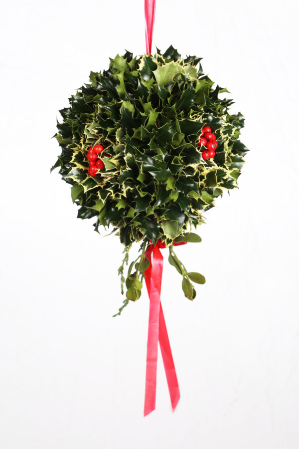 Holly Kissing Ball with Variegated Holly