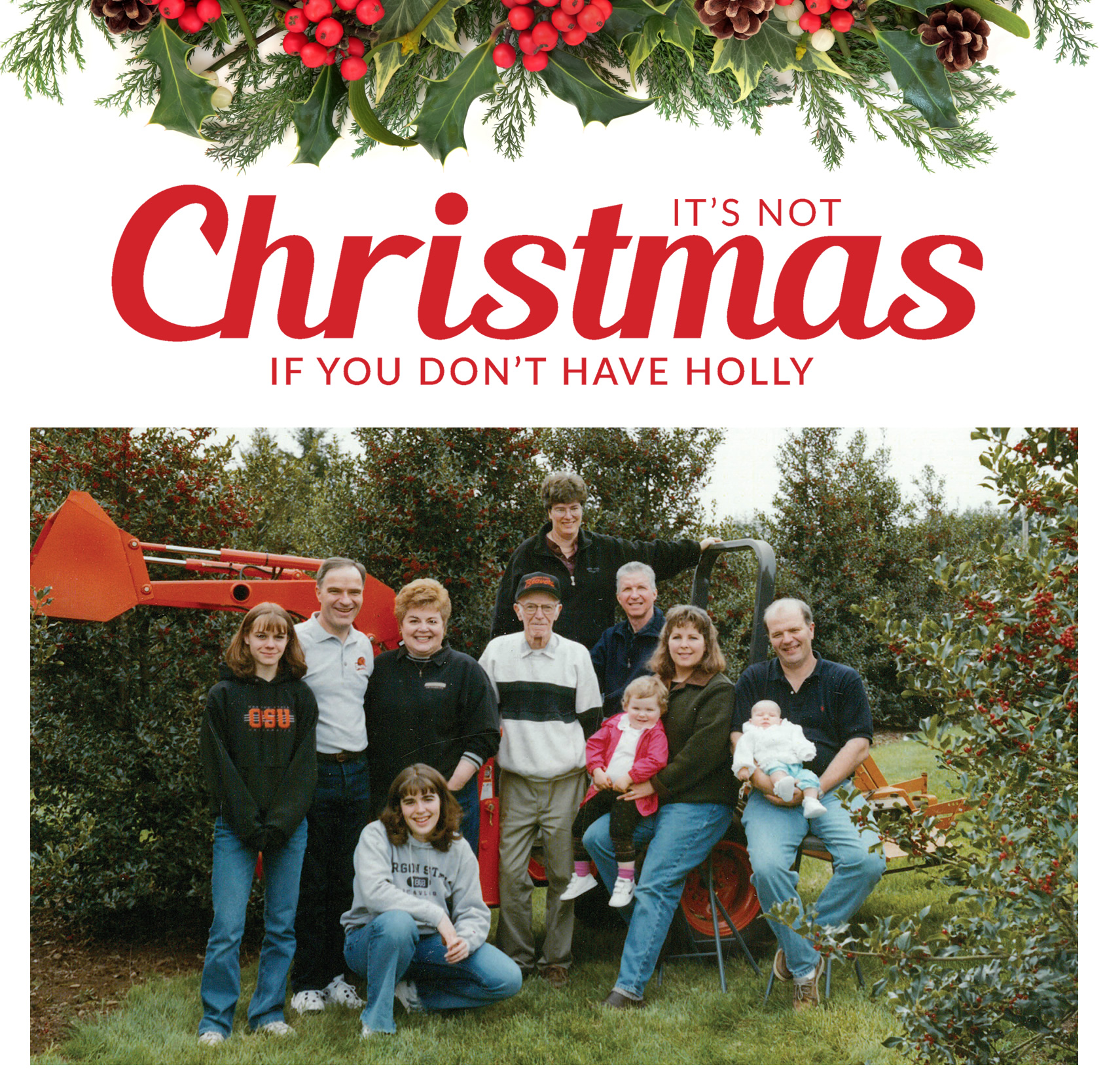 It's Not Christmas If You Don't Have Holly - Fresh holly used for Christmas Garlands and Holiday Wreaths