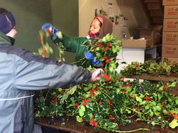 Florists unpacking holly for garlands and decorations