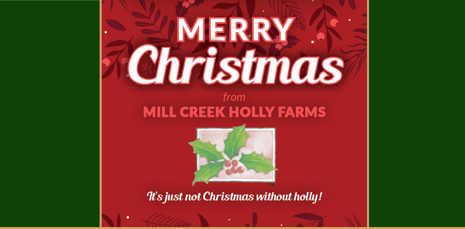 Homepage-Hero-Mill-Creek2025